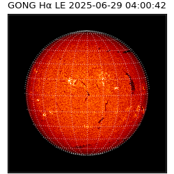 gong - 2025-06-29T04:00:42