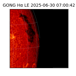 gong - 2025-06-30T07:00:42