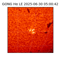 gong - 2025-06-30T05:00:42