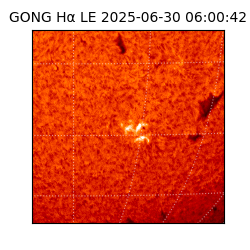 gong - 2025-06-30T06:00:42