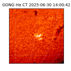 gong - 2025-06-30T14:00:42