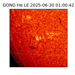 gong - 2025-06-30T01:00:42