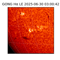 gong - 2025-06-30T03:00:42