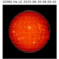 gong - 2025-06-30T06:00:42