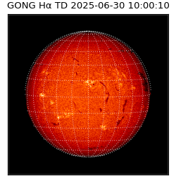 gong - 2025-06-30T10:00:10