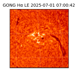 gong - 2025-07-01T07:00:42
