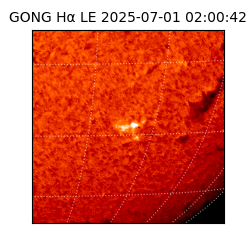 gong - 2025-07-01T02:00:42