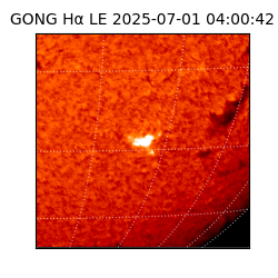 gong - 2025-07-01T04:00:42