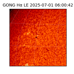 gong - 2025-07-01T06:00:42
