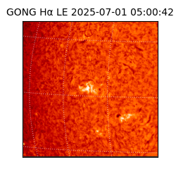 gong - 2025-07-01T05:00:42