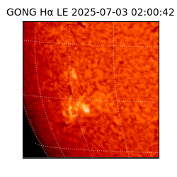 gong - 2025-07-03T02:00:42