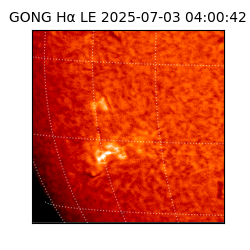 gong - 2025-07-03T04:00:42