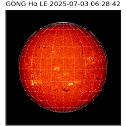 gong - 2025-07-03T06:28:42