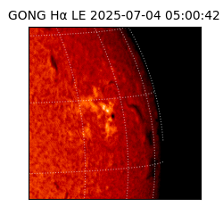 gong - 2025-07-04T05:00:42