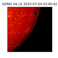 gong - 2025-07-04T03:00:42