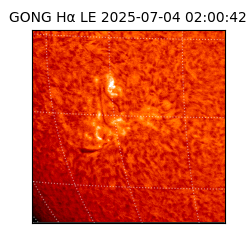 gong - 2025-07-04T02:00:42