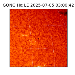gong - 2025-07-05T03:00:42