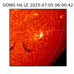 gong - 2025-07-05T06:00:42