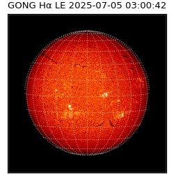 gong - 2025-07-05T03:00:42