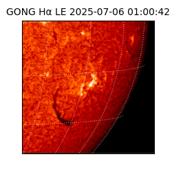 gong - 2025-07-06T01:00:42
