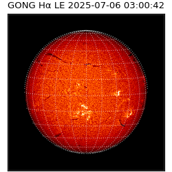 gong - 2025-07-06T03:00:42