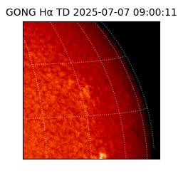 gong - 2025-07-07T09:00:11