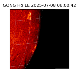 gong - 2025-07-08T06:00:42