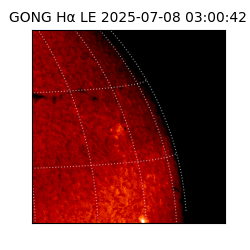 gong - 2025-07-08T03:00:42