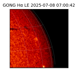 gong - 2025-07-08T07:00:42