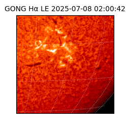 gong - 2025-07-08T02:00:42
