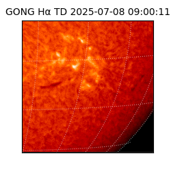 gong - 2025-07-08T09:00:11