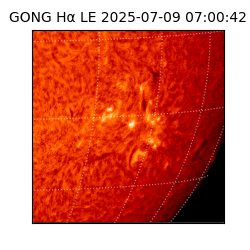 gong - 2025-07-09T07:00:42