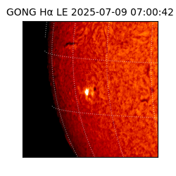 gong - 2025-07-09T07:00:42