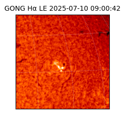 gong - 2025-07-10T09:00:42