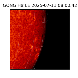 gong - 2025-07-11T08:00:42