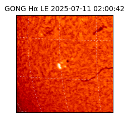 gong - 2025-07-11T02:00:42