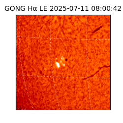 gong - 2025-07-11T08:00:42