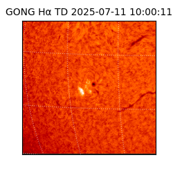 gong - 2025-07-11T10:00:11