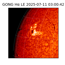 gong - 2025-07-11T03:00:42
