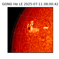 gong - 2025-07-11T08:00:42
