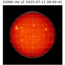 gong - 2025-07-11T08:00:42