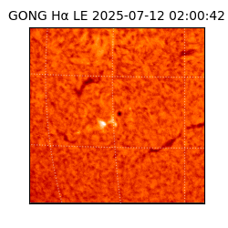 gong - 2025-07-12T02:00:42