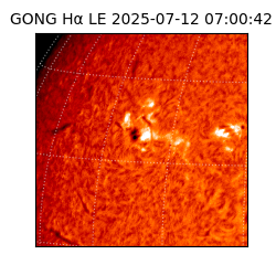 gong - 2025-07-12T07:00:42