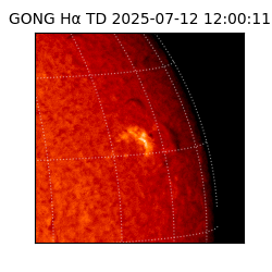 gong - 2025-07-12T12:00:11