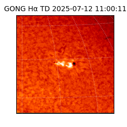 gong - 2025-07-12T11:00:11