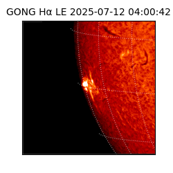 gong - 2025-07-12T04:00:42