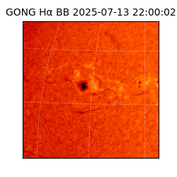 gong - 2025-07-13T22:00:02