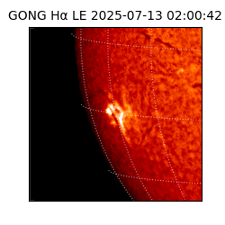 gong - 2025-07-13T02:00:42
