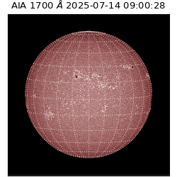 saia - 2025-07-14T09:00:28.717000