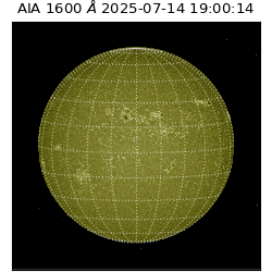 saia - 2025-07-14T19:00:14.126000